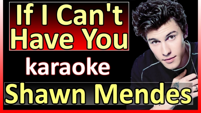 Shawn Mendes - If I Can't Have You - Karaoke SoMusique